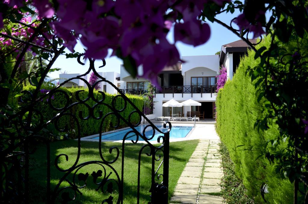 Emelda Sun Club Hotell Kemer Rom bilde